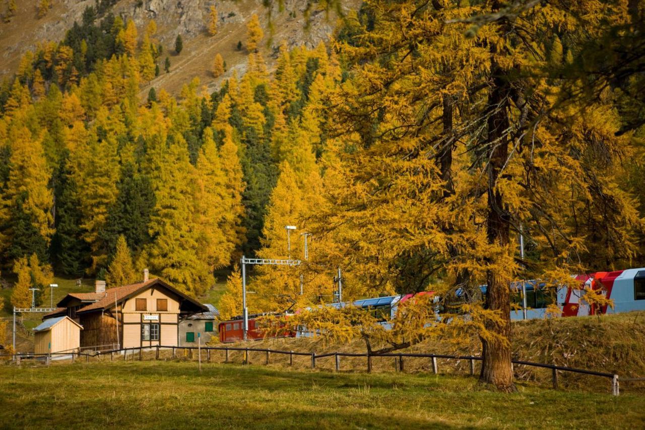 Gasthaus Spinas Bever Extérieur photo